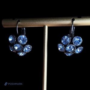 💖 Blue Crystal Drop Earrings 💖